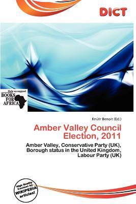 Amber Valley Council Election 2011