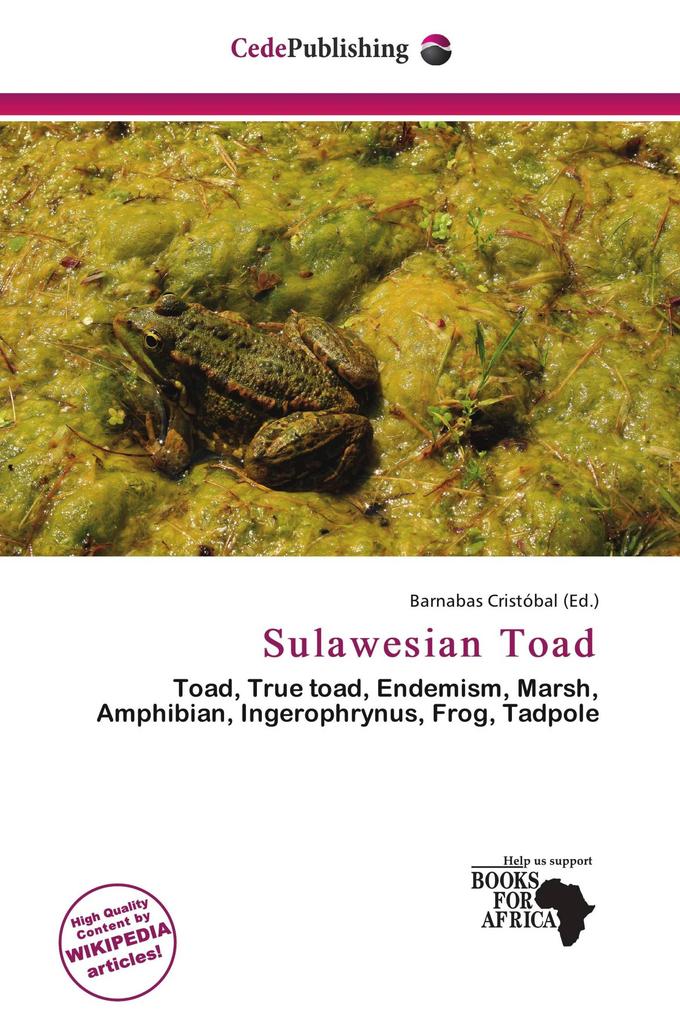 Sulawesian Toad