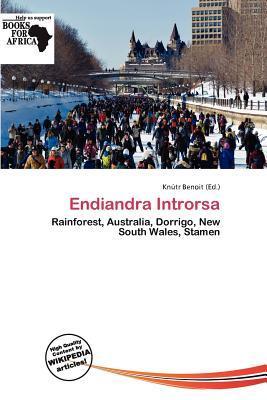Endiandra Introrsa