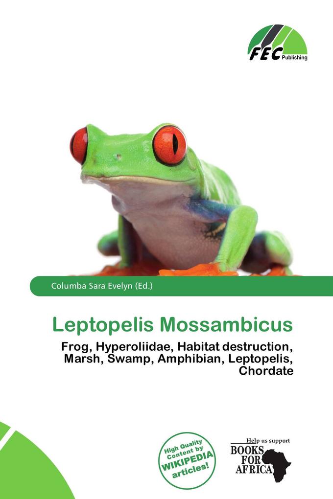 Leptopelis Mossambicus