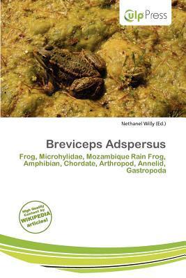 Breviceps Adspersus