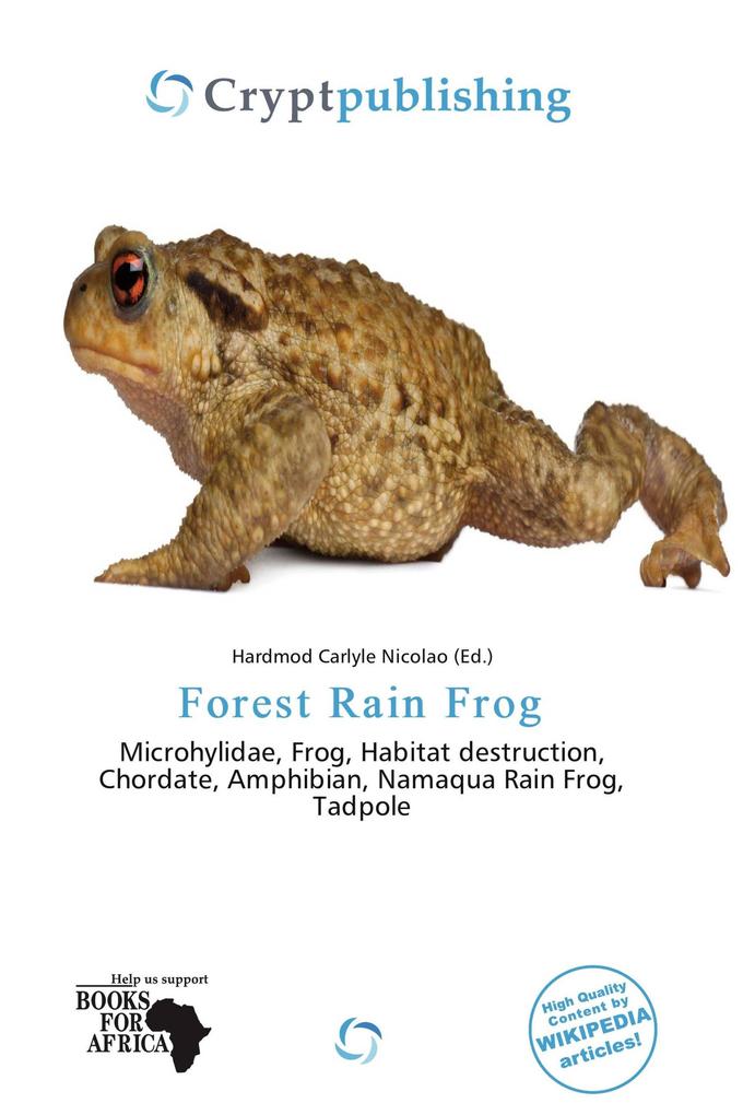 Forest Rain Frog