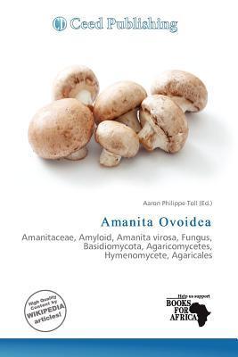 Amanita Ovoidea