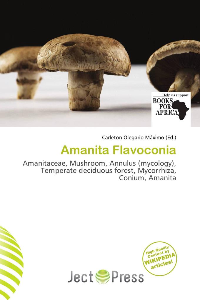 Amanita Flavoconia
