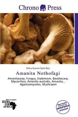 Amanita Nothofagi
