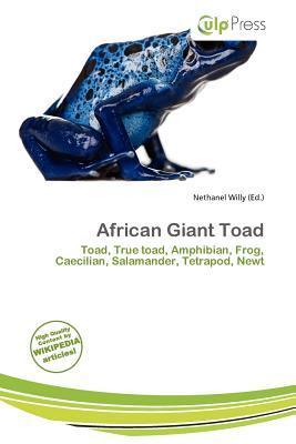 African Giant Toad
