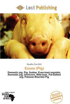 Essex (Pig)