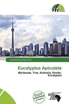 Eucalyptus Apiculata