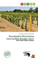 Eucalyptus Baueriana