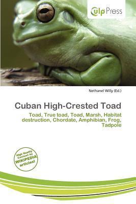 Cuban High-Crested Toad