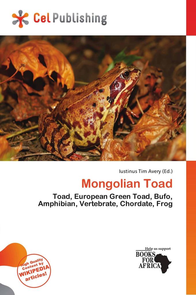 Mongolian Toad