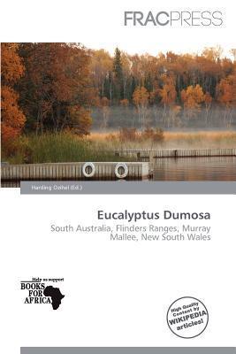 Eucalyptus Dumosa