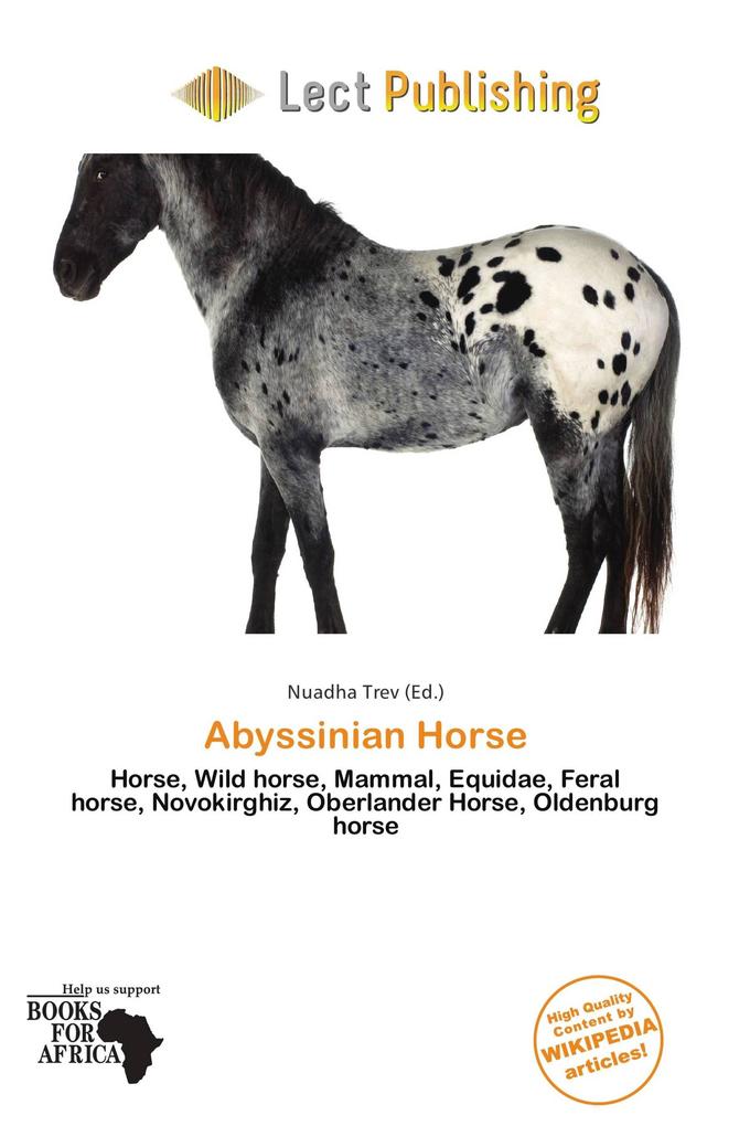 Abyssinian Horse
