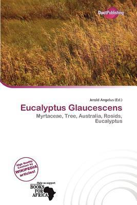 Eucalyptus Glaucescens