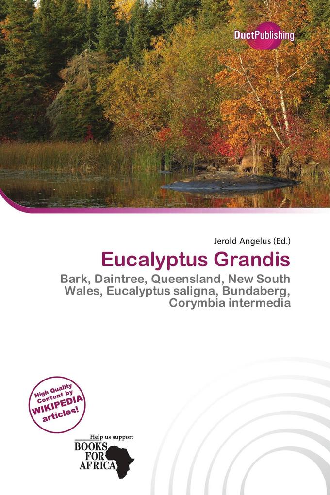Eucalyptus Grandis