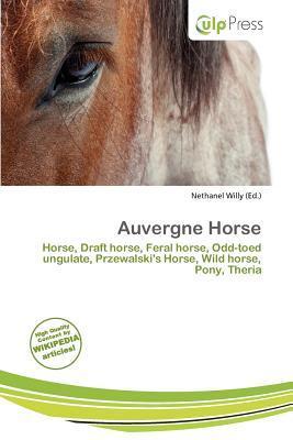 Auvergne Horse