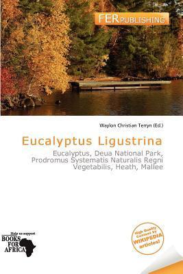 Eucalyptus Ligustrina