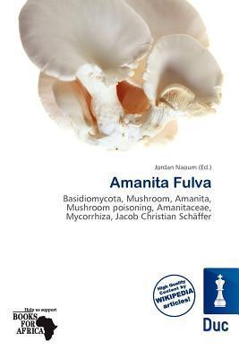 Amanita Fulva
