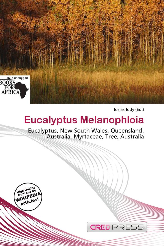 Eucalyptus Melanophloia