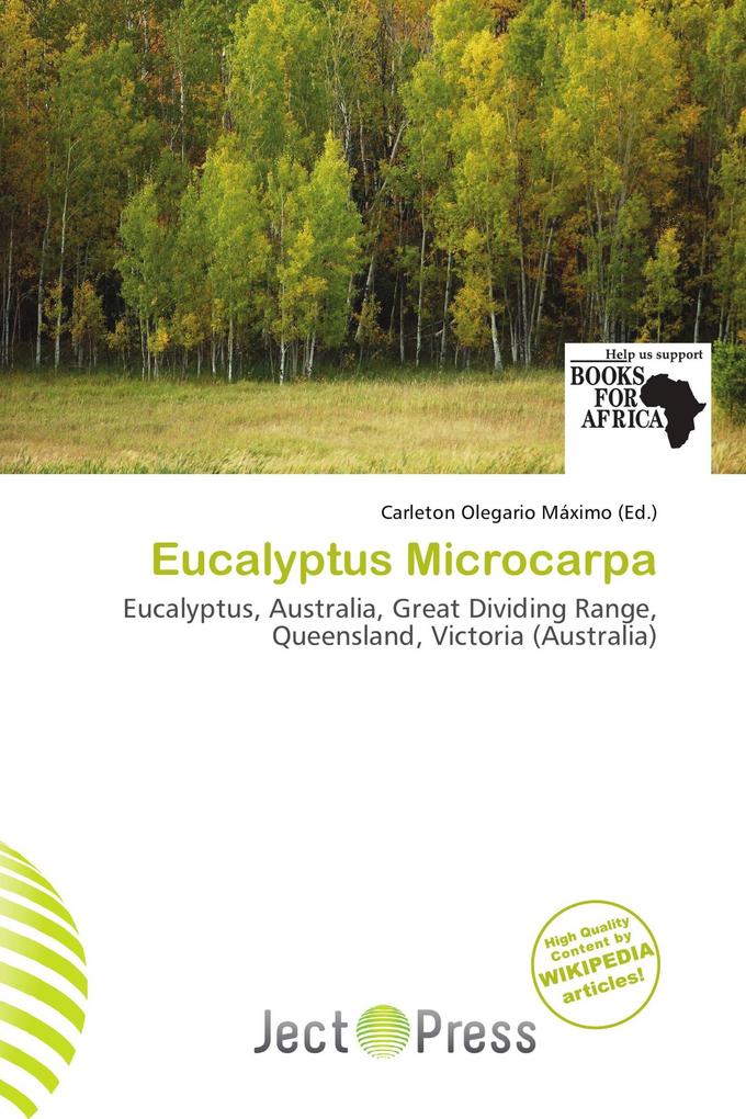 Eucalyptus Microcarpa