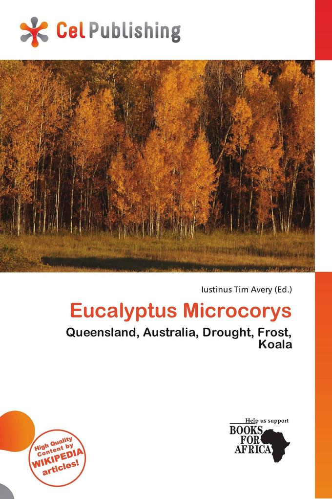 Eucalyptus Microcorys