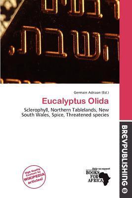 Eucalyptus Olida