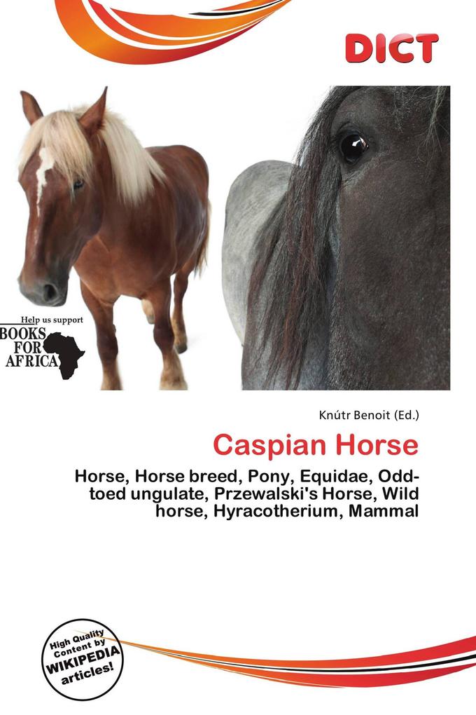 Caspian Horse