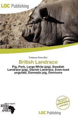 British Landrace
