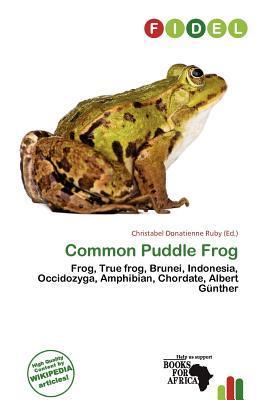 Common Puddle Frog