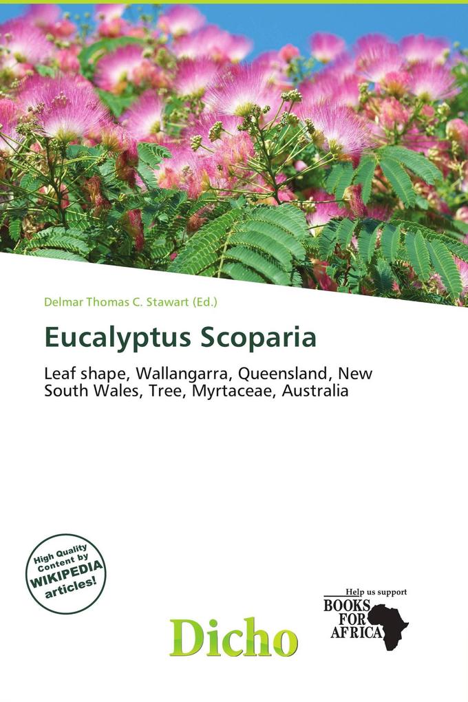 Eucalyptus Scoparia