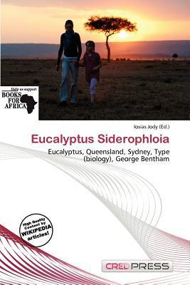 Eucalyptus Siderophloia