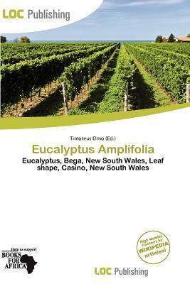 Eucalyptus Amplifolia