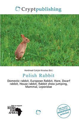 Polish Rabbit