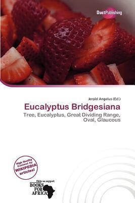 Eucalyptus Bridgesiana