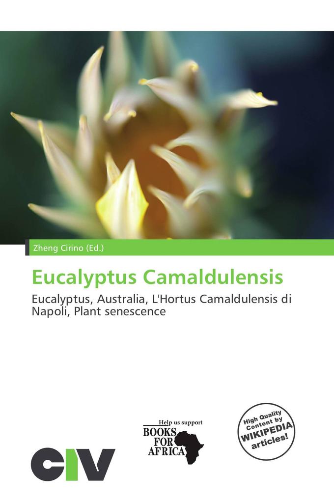 Eucalyptus Camaldulensis