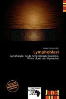 Lymphoblast