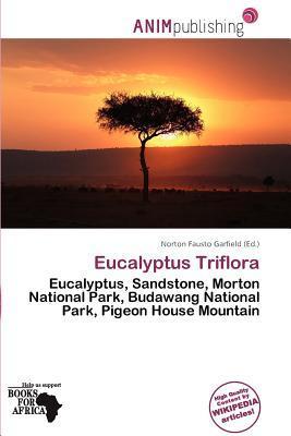Eucalyptus Triflora