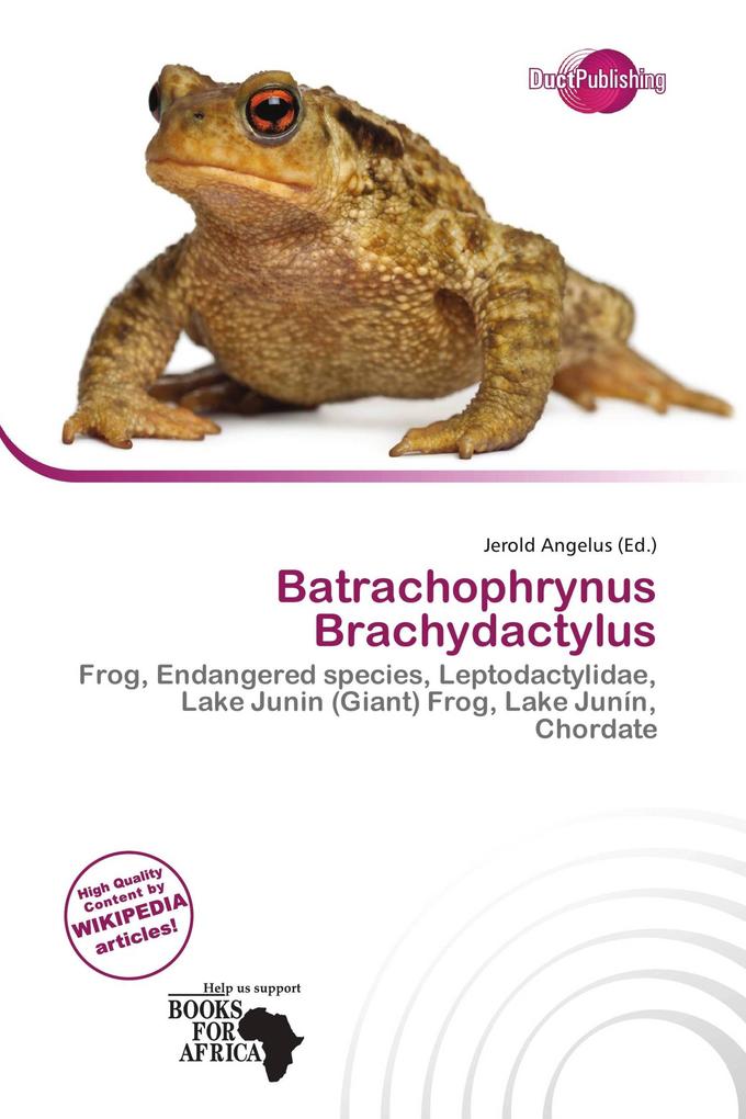 Batrachophrynus Brachydactylus