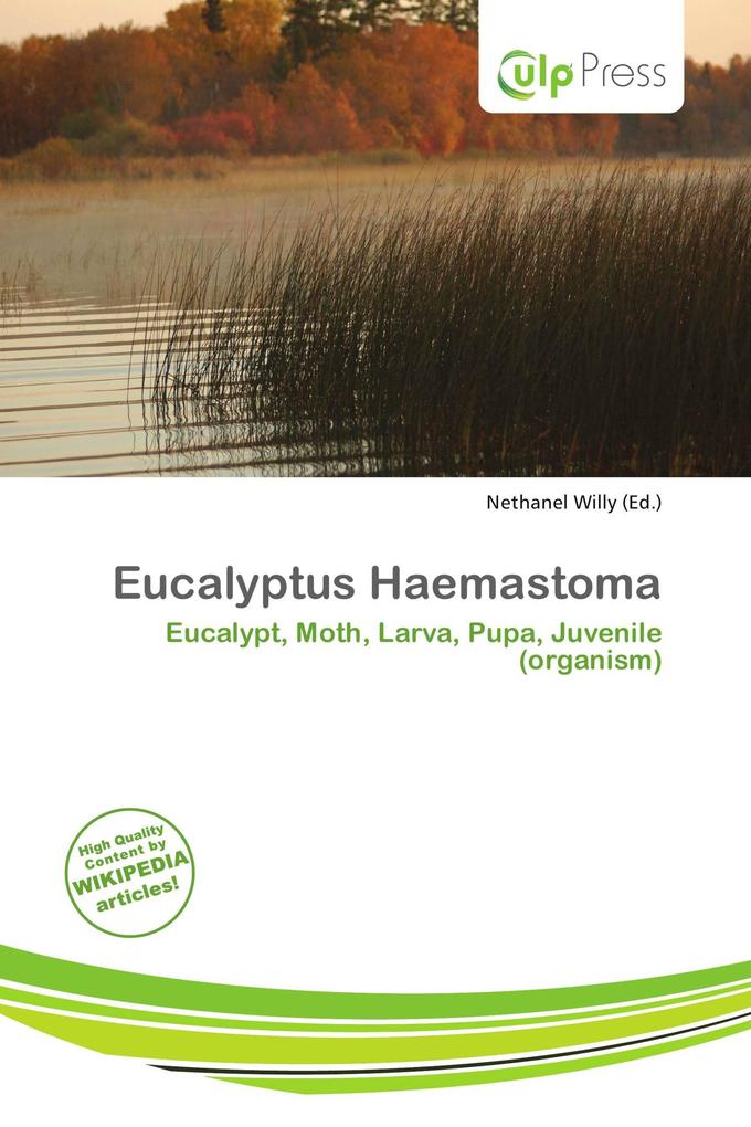 Eucalyptus Haemastoma