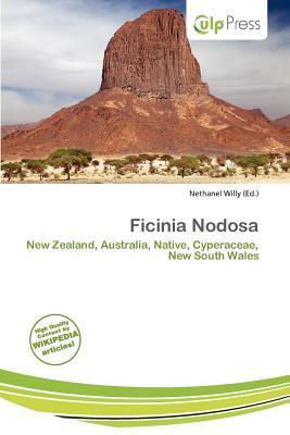 Ficinia Nodosa