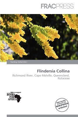 Flindersia Collina