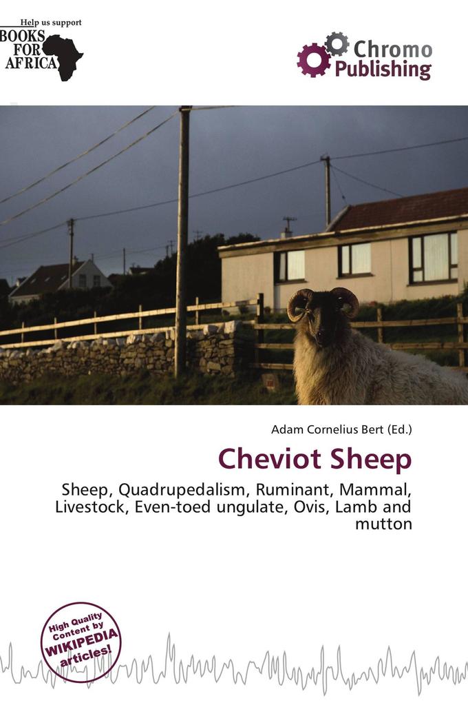 Cheviot Sheep