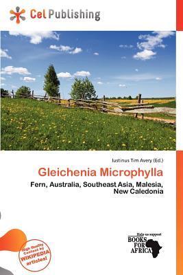 Gleichenia Microphylla