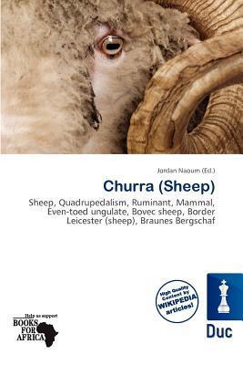 Churra (Sheep)