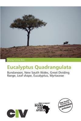 Eucalyptus Quadrangulata