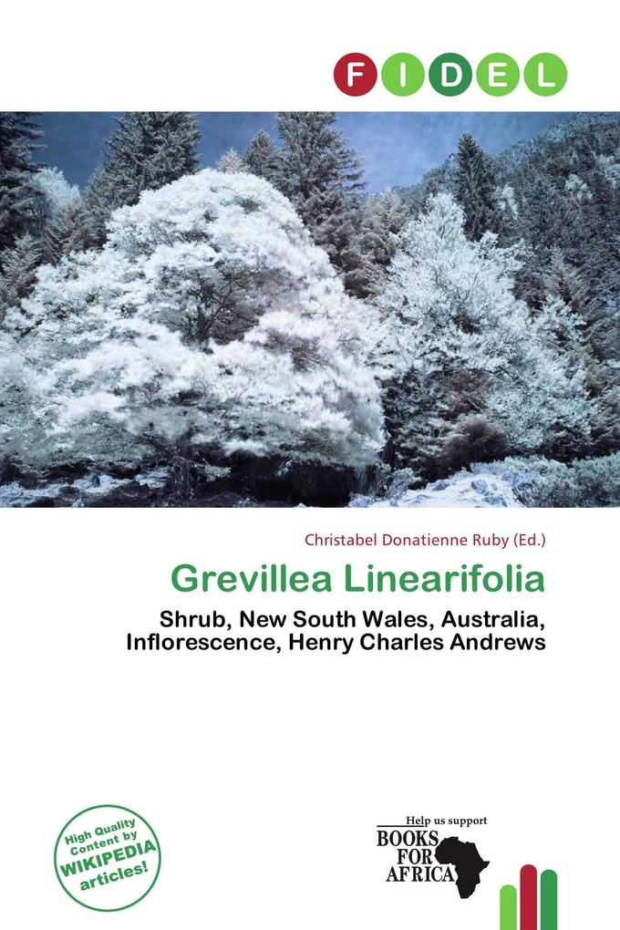Grevillea Linearifolia