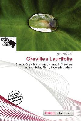 Grevillea Laurifolia