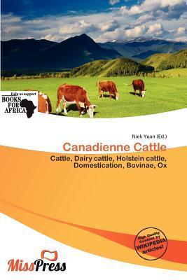 Canadienne Cattle