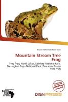 Mountain Stream Tree Frog