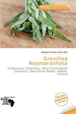 Grevillea Rosmarinifolia